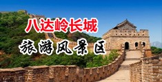女生的逼视频网站中国北京-八达岭长城旅游风景区